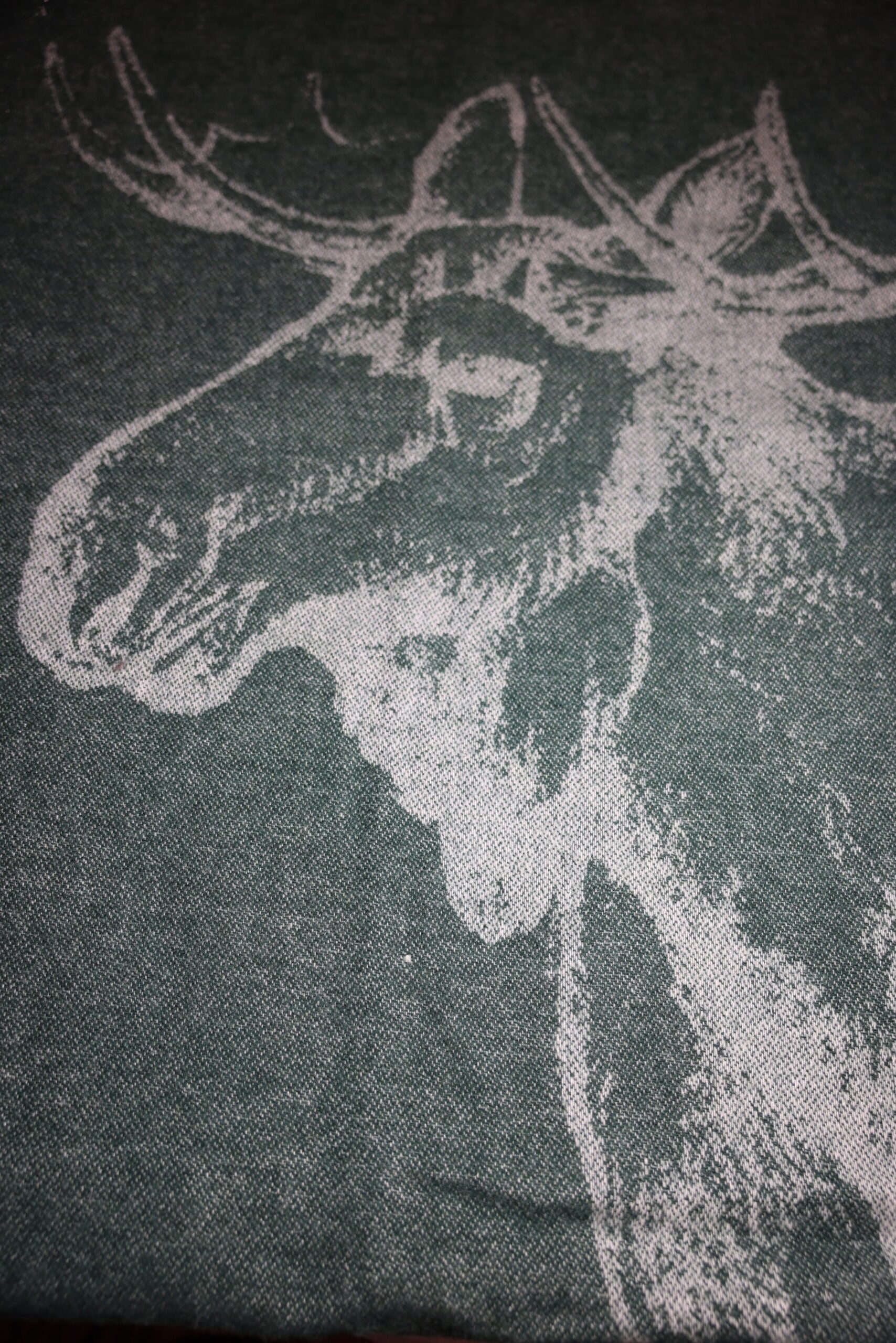 2B6A1189 Pleed Zelandia,LUX 140x200 cm, 300 g/m2, 100% Uus-Meremaa vill, 80-3366 DARK FOREST.Põder