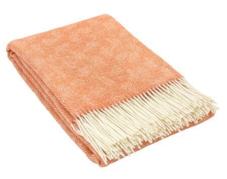 LUX 3339 coral LUX-3339-coral-scaled.jpg