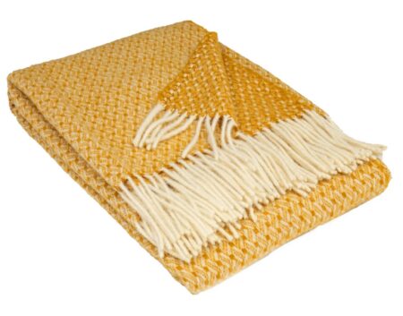 80-3319-mustard-zelandia 80-3319-mustard-zelandia.jpg